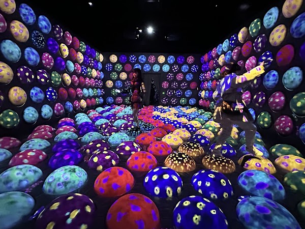 teamLab Forest Fukuoka 1