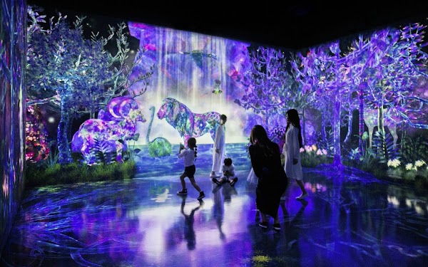 teamLab Forest Fukuoka 5