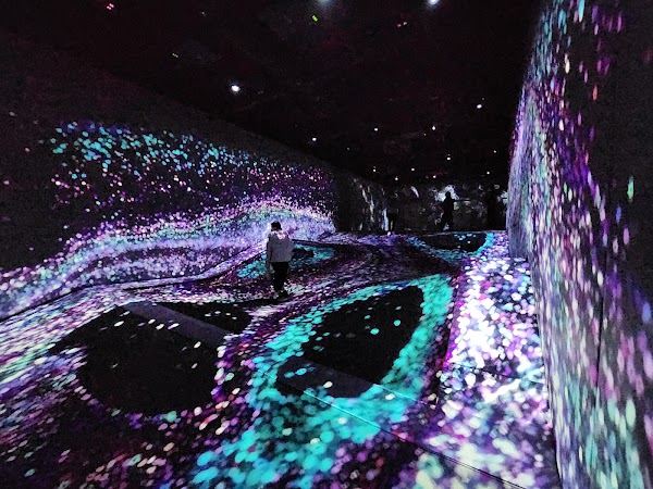 teamLab Forest Fukuoka 4
