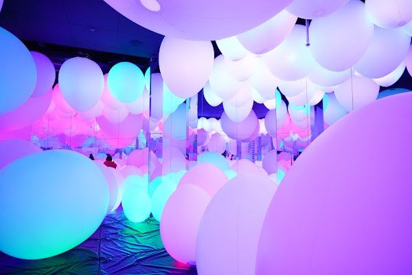 teamLab Forest Fukuoka 2