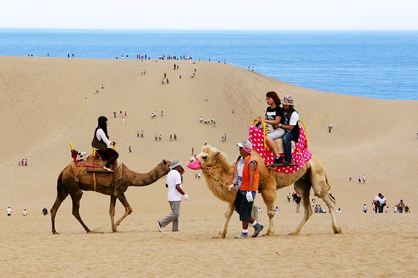 Tottori Sand Dunes