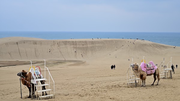 Tottori Sand Dunes 5