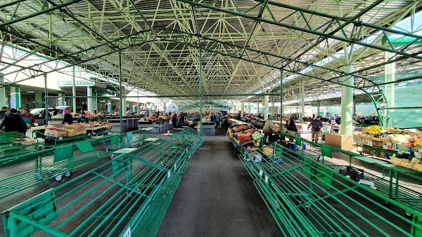 Green Market 5