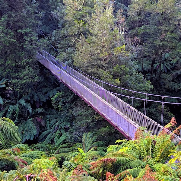 Corrigan Suspension Bridge 1