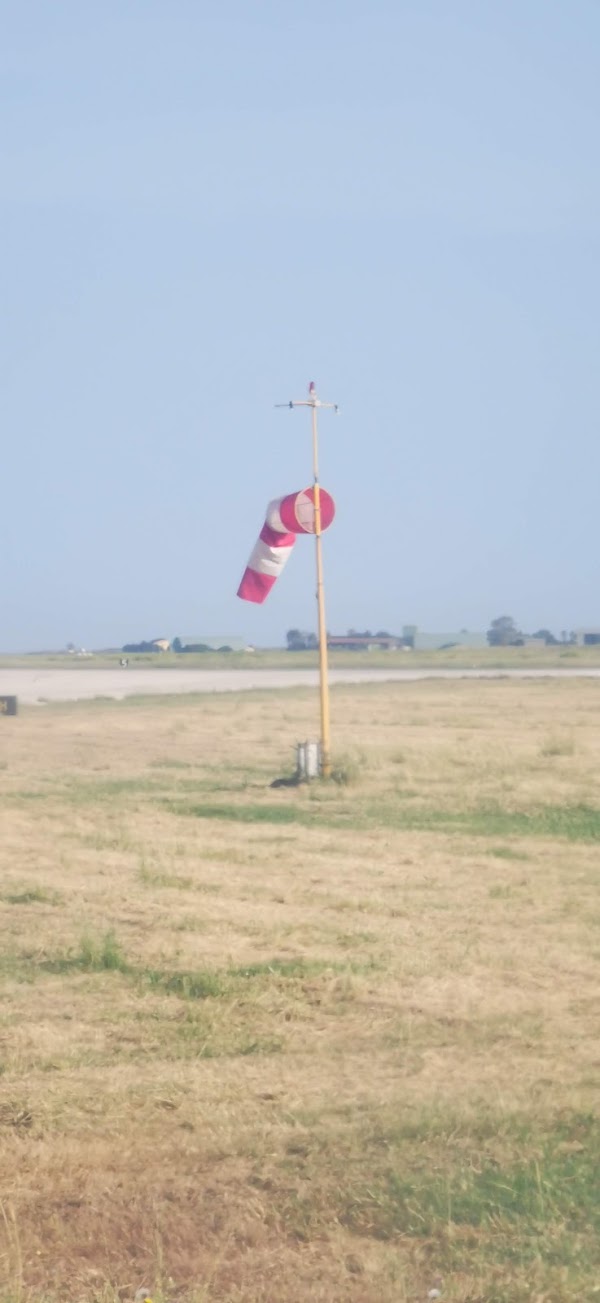 Marsala 5