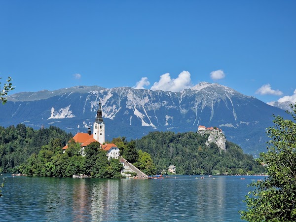 Blejsko jezero