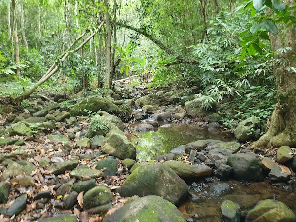 Phong Nha Botanic Garden
