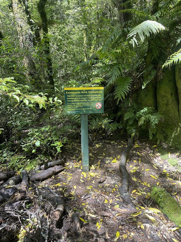 Kaimanawa Wall 4