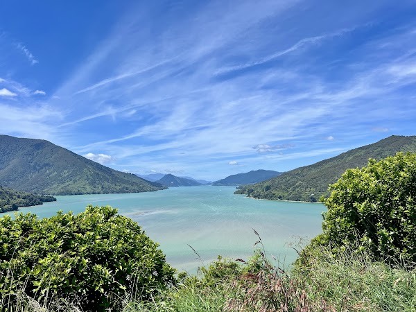 New Zealand 14