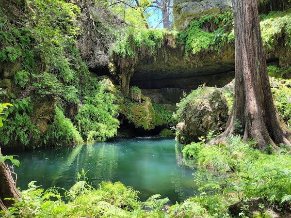 Westcave Outdoor Discovery Center 1