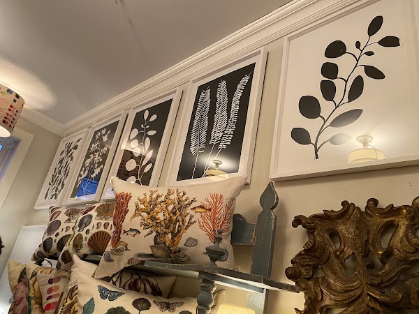 John Derian Company Inc 3