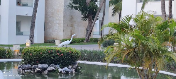 Bávaro 3