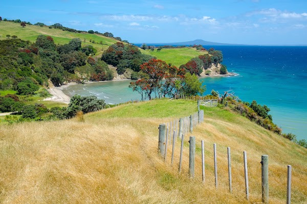 Shakespear Regional Park 5