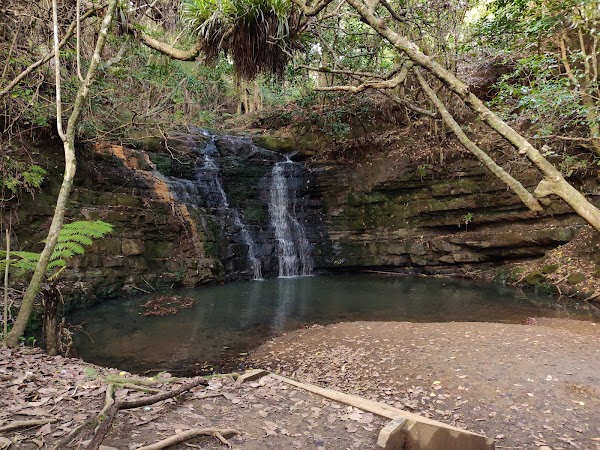 Shakespear Regional Park 4