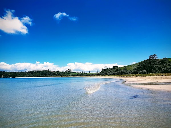Shakespear Regional Park 2