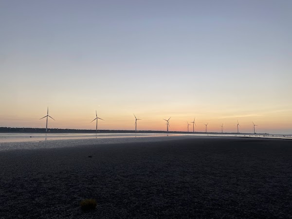 Gaomei Wetlands 5