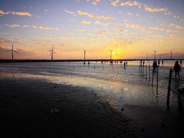 Gaomei Wetlands 4