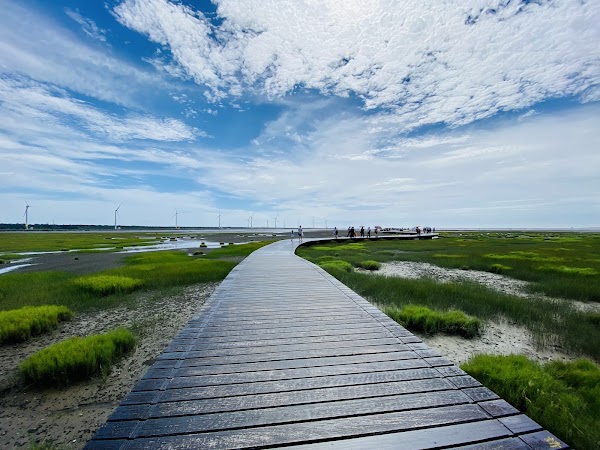 Gaomei Wetlands 3
