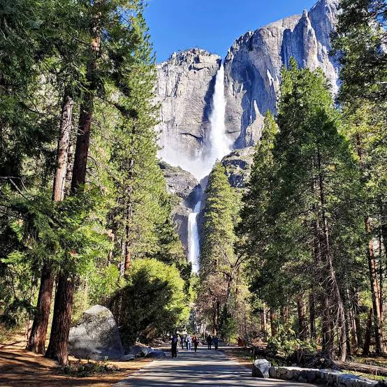 Yosemite Falls 5