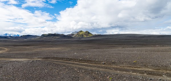 Bláhylur 4