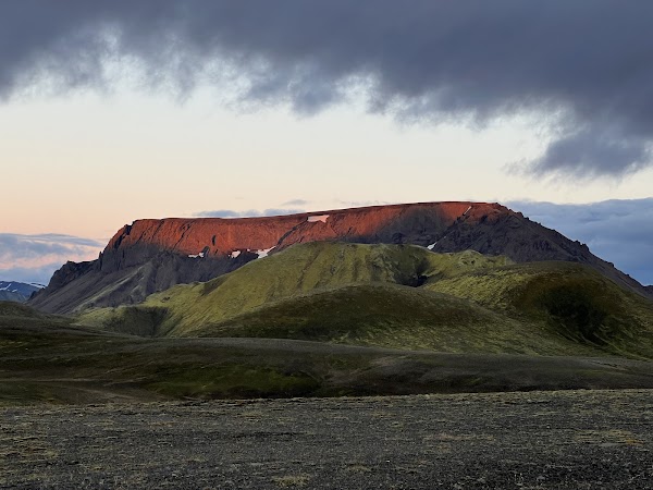 Bláhylur 3