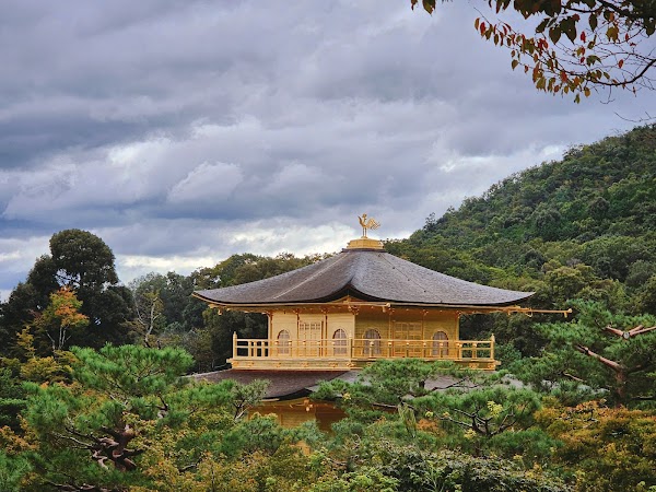 Kinkaku-ji 4
