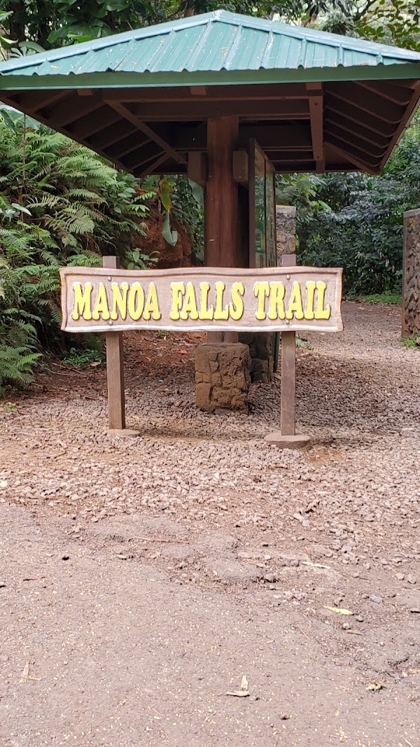 Na Ala Hele: Manoa Falls Trail 1