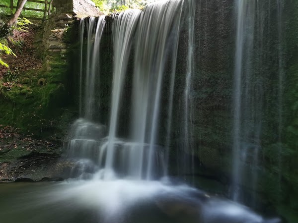 Nant Mill Wood