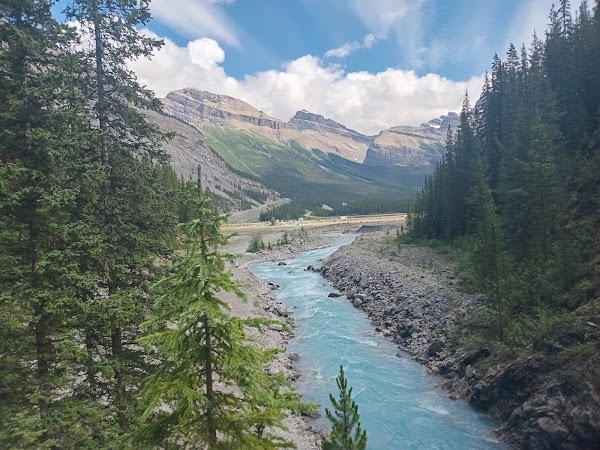 Icefields Parkway 5