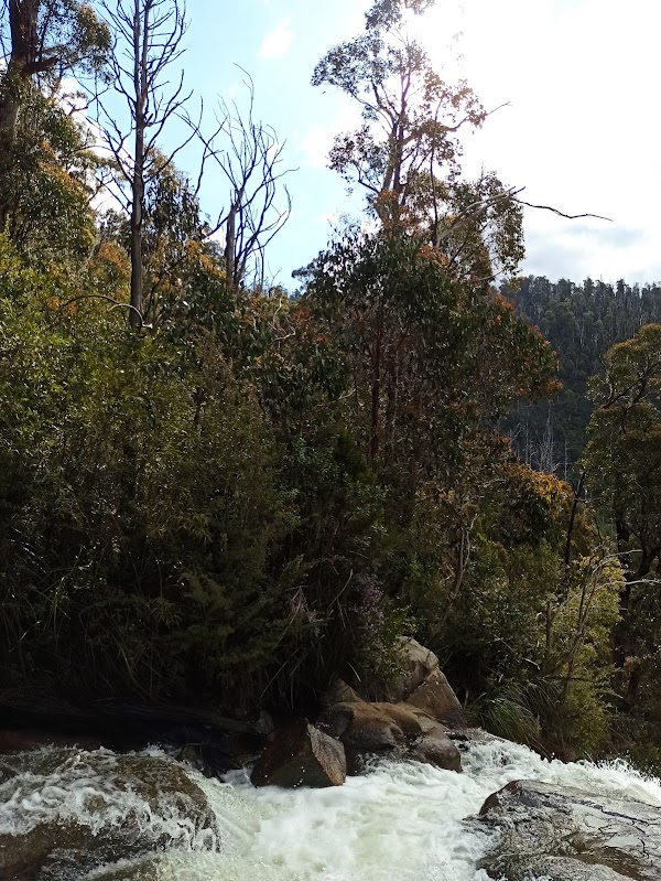 Stevensons Falls Walk 5