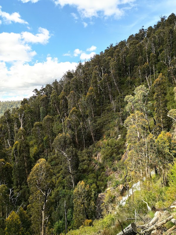 Stevensons Falls Walk 4