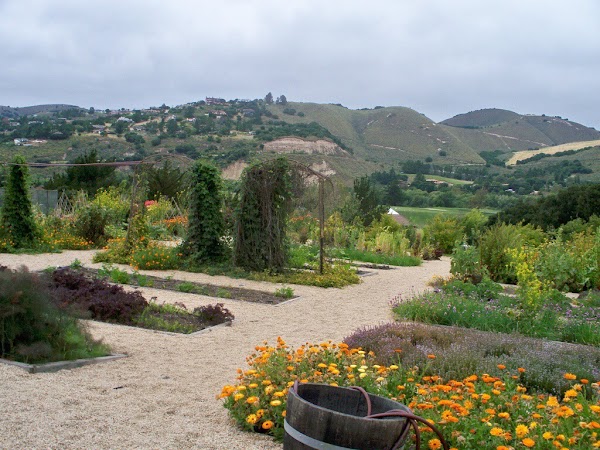 Carmel Valley