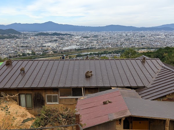 Arashiyama Monkey Park Iwatayama 2