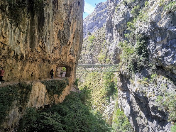 The Cares Trail 5