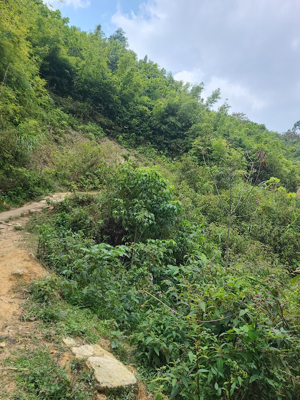 Sapa Bamboo Trail 4