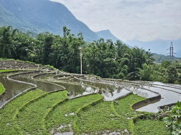 Sapa Bamboo Trail 3