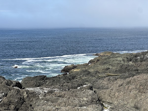 Wild Pacific Trail 5