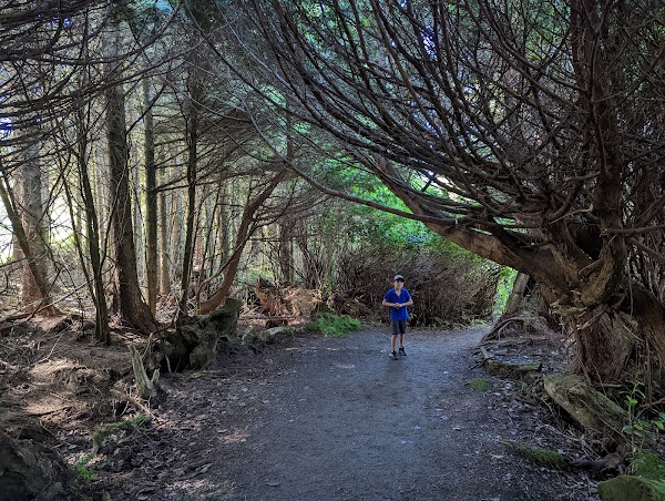 Wild Pacific Trail 4