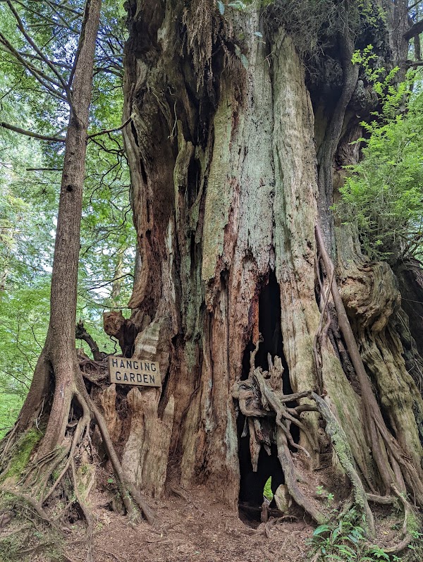Wild Pacific Trail 3