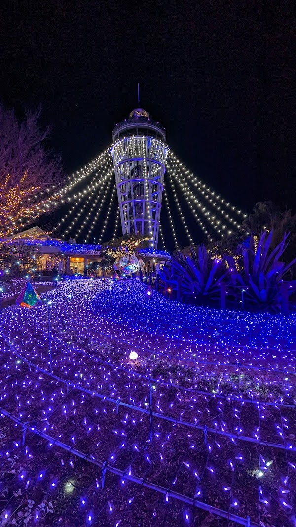 Enoshima Sea Candle 5