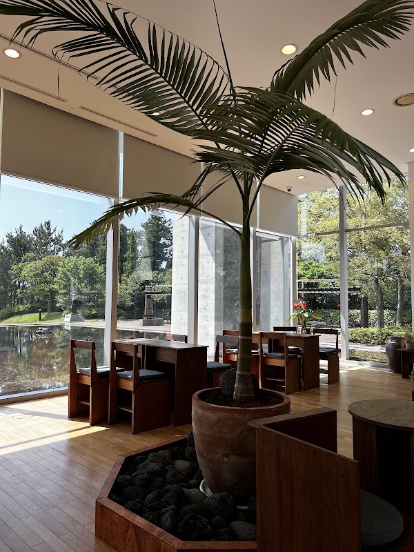 Jeju 17