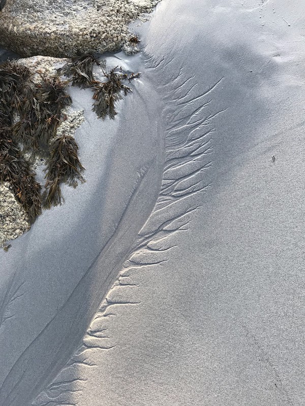 Crystal Crescent Beach Road 2