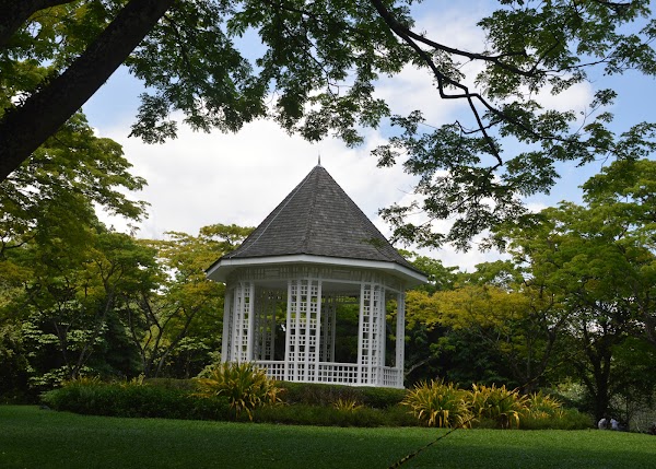 Singapore Botanic Gardens 1