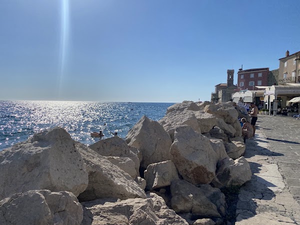 Plaža Piran 3