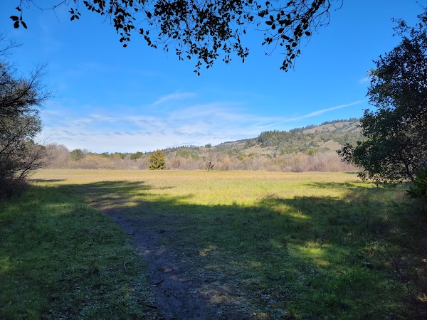 Hendy Woods State Park 2