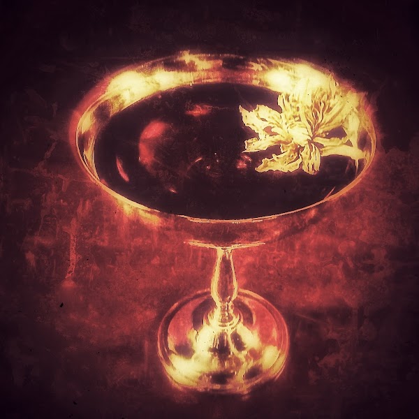 Bar Shiki 4