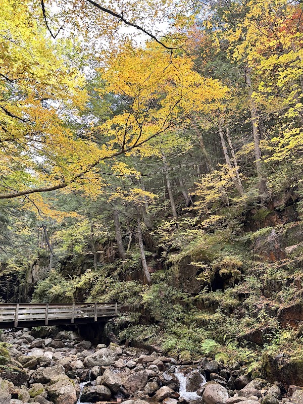 Historic Flume Covered Bridge 2