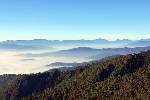 Mary Budden Estate | Luxury Resorts in Binsar, Uttarakhand 3