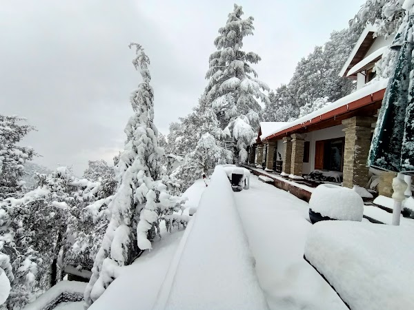 Mary Budden Estate | Luxury Resorts in Binsar, Uttarakhand 2