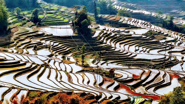Yuanyang Hani Terraces Scenic Spot
